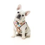Fuzzyard Arnes Para Perro Go Nuts - Imagen 3