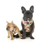 Fuzzyard Arnes Para Perro Go Nuts - Imagen 4