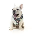 Fuzzyard Arnes Para Perro Rad - Imagen 3