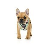 Fuzzyard Arnes Para Perro Rad - Imagen 4