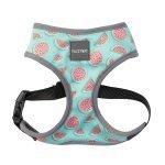 Fuzzyard Arnes Para Perro Summer Punch