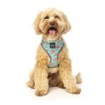 Fuzzyard Arnes Para Perro Summer Punch - Imagen 3