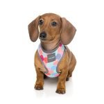 Fuzzyard Arnes Para Perro The Hive - Imagen 3