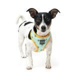 Fuzzyard Arnes Para Perro Tucson - Imagen 3
