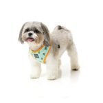 Fuzzyard Arnes Para Perro Tucson - Imagen 4