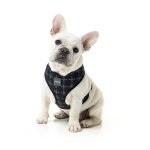 Fuzzyard Arnes Para Perro Yeezy - Imagen 3