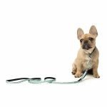 Fuzzyard Correa Para Perro Tucson - Imagen 3