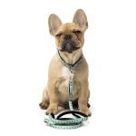 Fuzzyard Correa Para Perro Tucson - Imagen 2