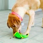 Kong Ballistic Hide 'N Treat - Imagen 5