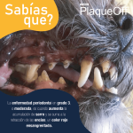 Plaqueoff Polvo Para Perros 40 Gr - Imagen 7