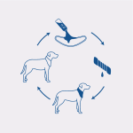 Gfpet Bandana Refrescante - Imagen 5