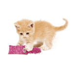 Kong Kitten Kickeroo - Imagen 6