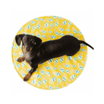 Gfpet Mat De Enfriamiento Redondo Yellow S/M