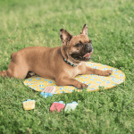 Gfpet Mat De Enfriamiento Redondo Yellow S/M - Imagen 2