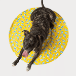 Gfpet Mat De Enfriamiento Redondo Yellow L/Xl - Imagen 2