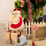 Gigwi Pack Navideño Para Gatos - Imagen 7