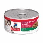 Hills Science Diet Kitten Liver Y Chicken 156 Gr