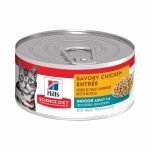 Hills Science Diet Gato Adulto Indoor Chicken 156 Gr