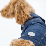 Chaqueta Denim para perros Gfpet - S - Imagen 5