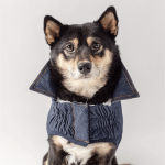Chaqueta Denim para perros Gfpet - S - Imagen 3