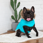 Parka para perros Winter Sailor Aqua GfPet - Xs - Imagen 6