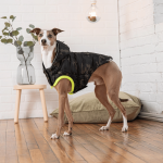 Parka Camuflaje Reciclada para perros Gfpet - Xs - Imagen 6