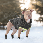 Parka Camuflaje Reciclada para perros Gfpet - Xs - Imagen 8