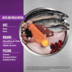 Orijen Kitten Formula Gato 1,8 Kg - Imagen 2