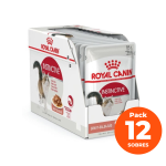 ROYAL CANIN GATO ADULTO POUCH - PACK 12 UND